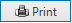 Print button