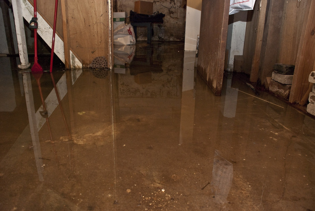 Water in the basement