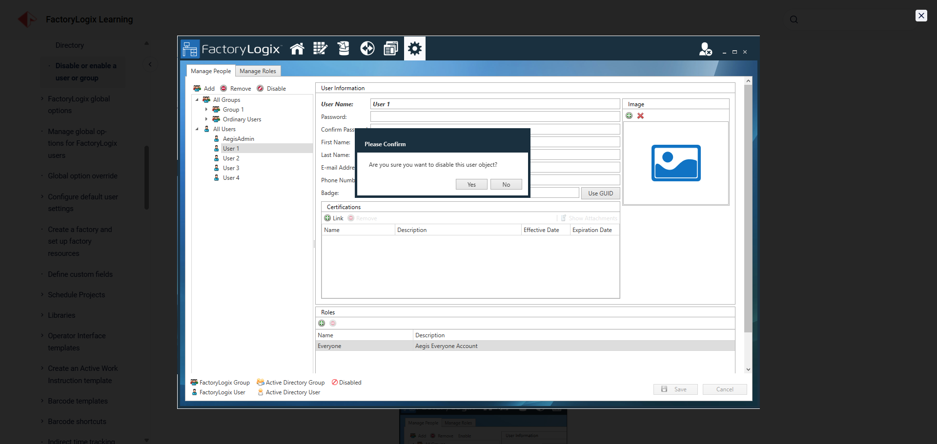 Enlarged graphic in documentation